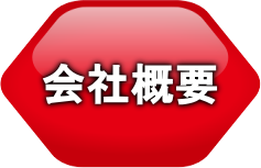 SHIN-FITの信頼と実績(会社概要ページへ)
